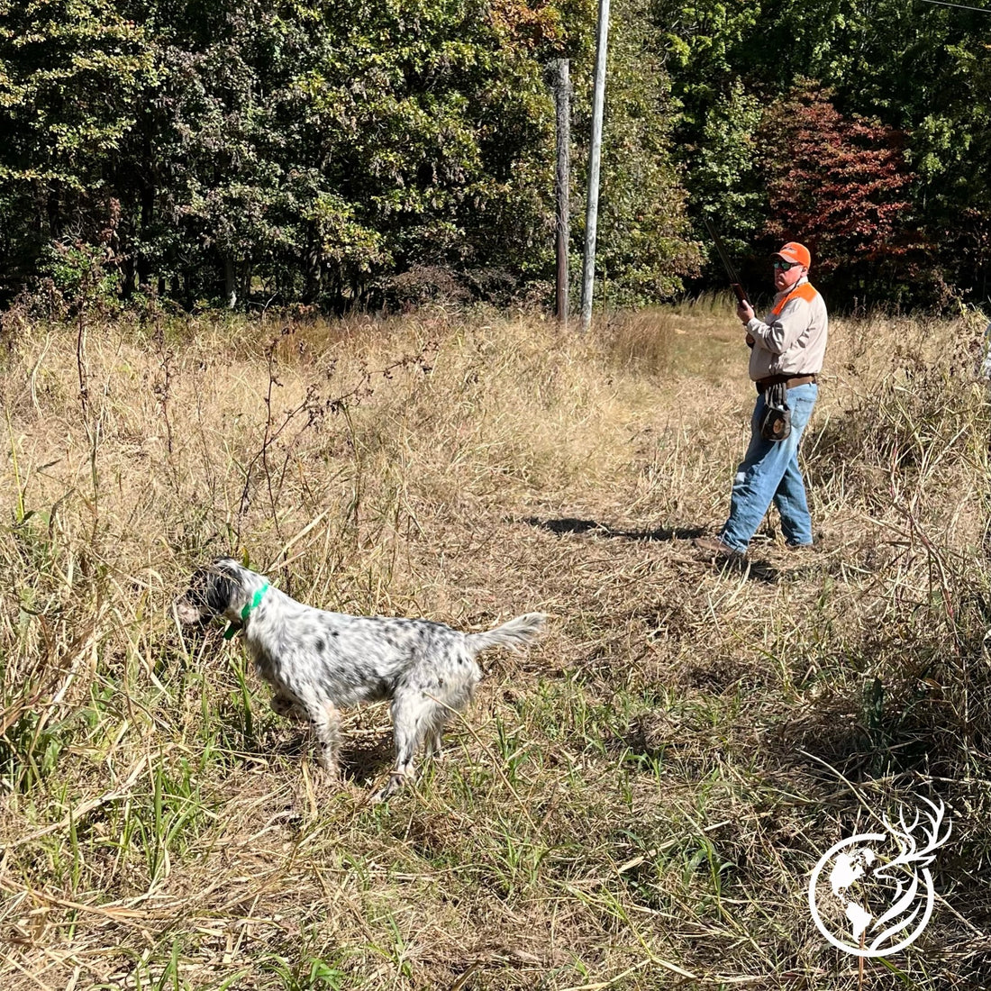 Early Season Quail Hunt